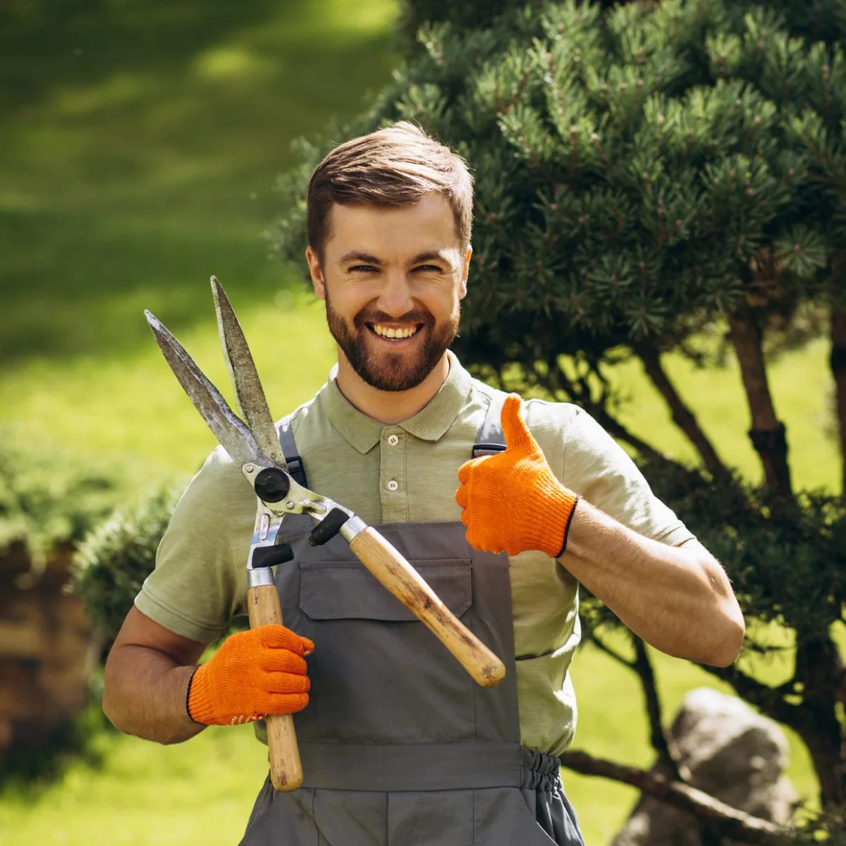 Battery-Powered Compact Chainsaw - Image 2